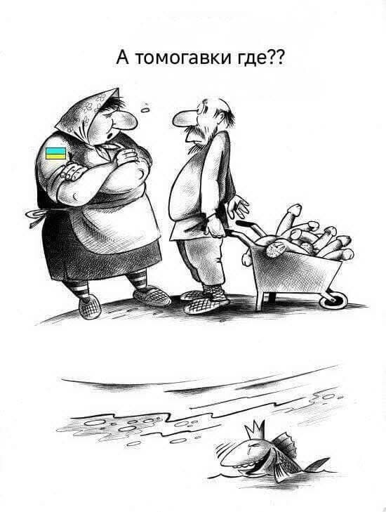 О политике и не только О политике и не только