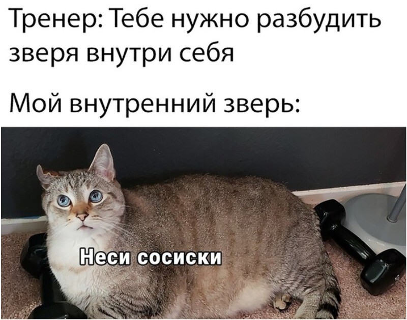 Роботизированный сосискоукладчик представили в Оренбурге Роботизированный сосискоукладчик представили в Оренбурге