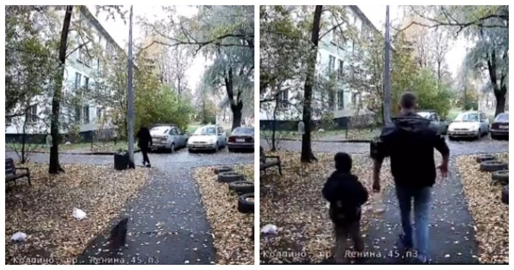 Собака кусает — хозяин бьёт: колпинский сюрприз выходного дня Собака кусает — хозяин бьёт: колпинский сюрприз выходного дня