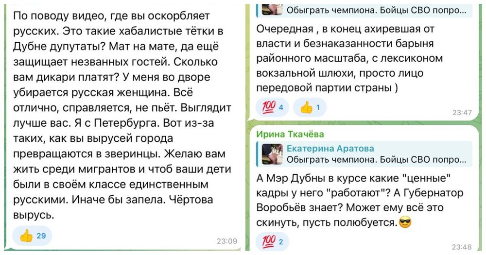 Депутата из Дубны призвали лишить мандата после высказываний о неумеющих и нежелающих работать славянах