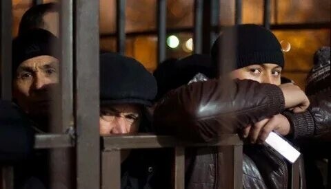 В России засекретили данные о половых преступлениях, совершённых мигрантами В России засекретили данные о половых преступлениях, совершённых мигрантами