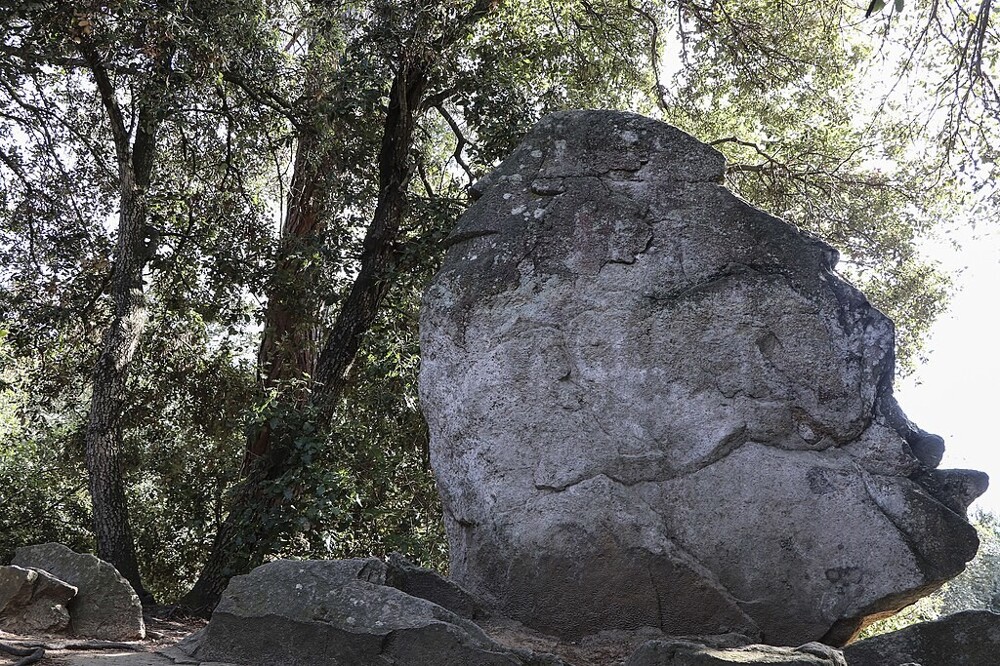 Каменные стражи зачарованного леса Орриус Каменные стражи зачарованного леса Орриус