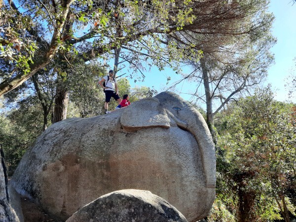 Каменные стражи зачарованного леса Орриус Каменные стражи зачарованного леса Орриус