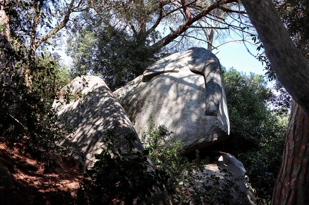 Каменные стражи зачарованного леса Орриус Каменные стражи зачарованного леса Орриус