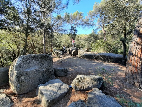 Каменные стражи зачарованного леса Орриус Каменные стражи зачарованного леса Орриус