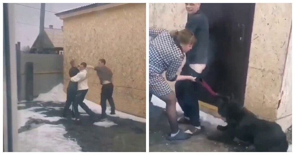 Когда драка выходит из-под контроля: вмешалась даже собака Когда драка выходит из-под контроля: вмешалась даже собака