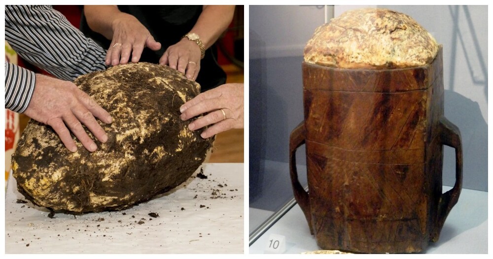 Тайна болотного масла: зачем в древности люди зарывали в трясину свои запасы? Тайна болотного масла: зачем в древности люди зарывали в трясину свои запасы?