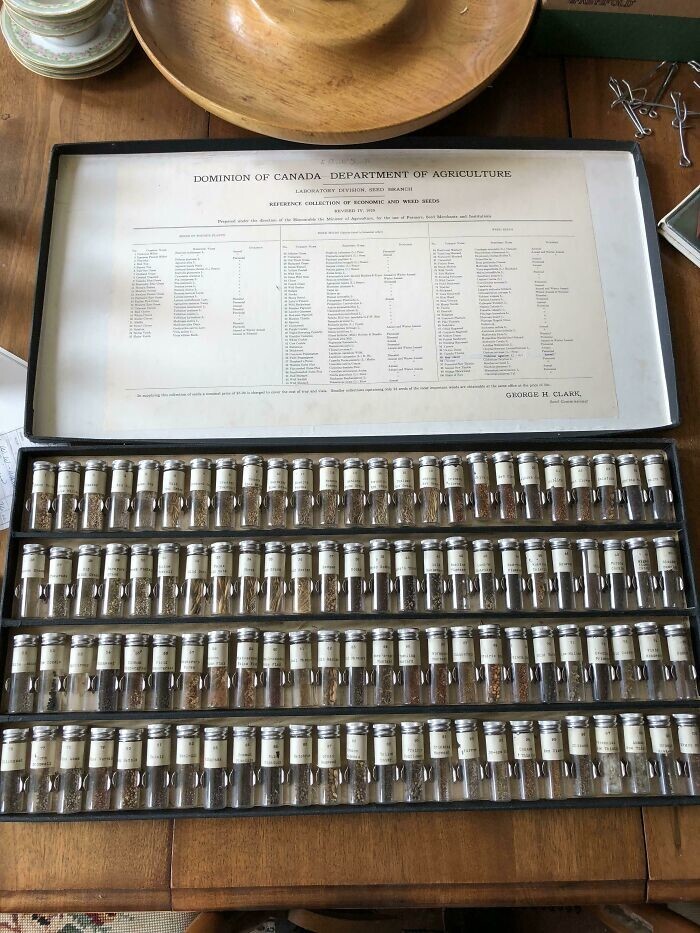 4. Коллекция эталонных семян, найденных на чердаке моего деда 4. Коллекция эталонных семян, найденных на чердаке моего деда