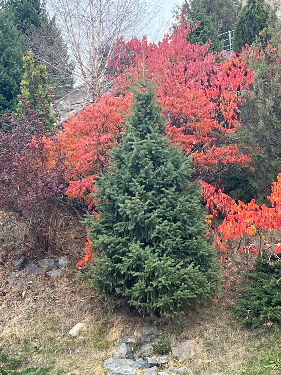 вечное, классическое - Прекрасная пора, очей очарование вечное, классическое - Прекрасная пора, очей очарование