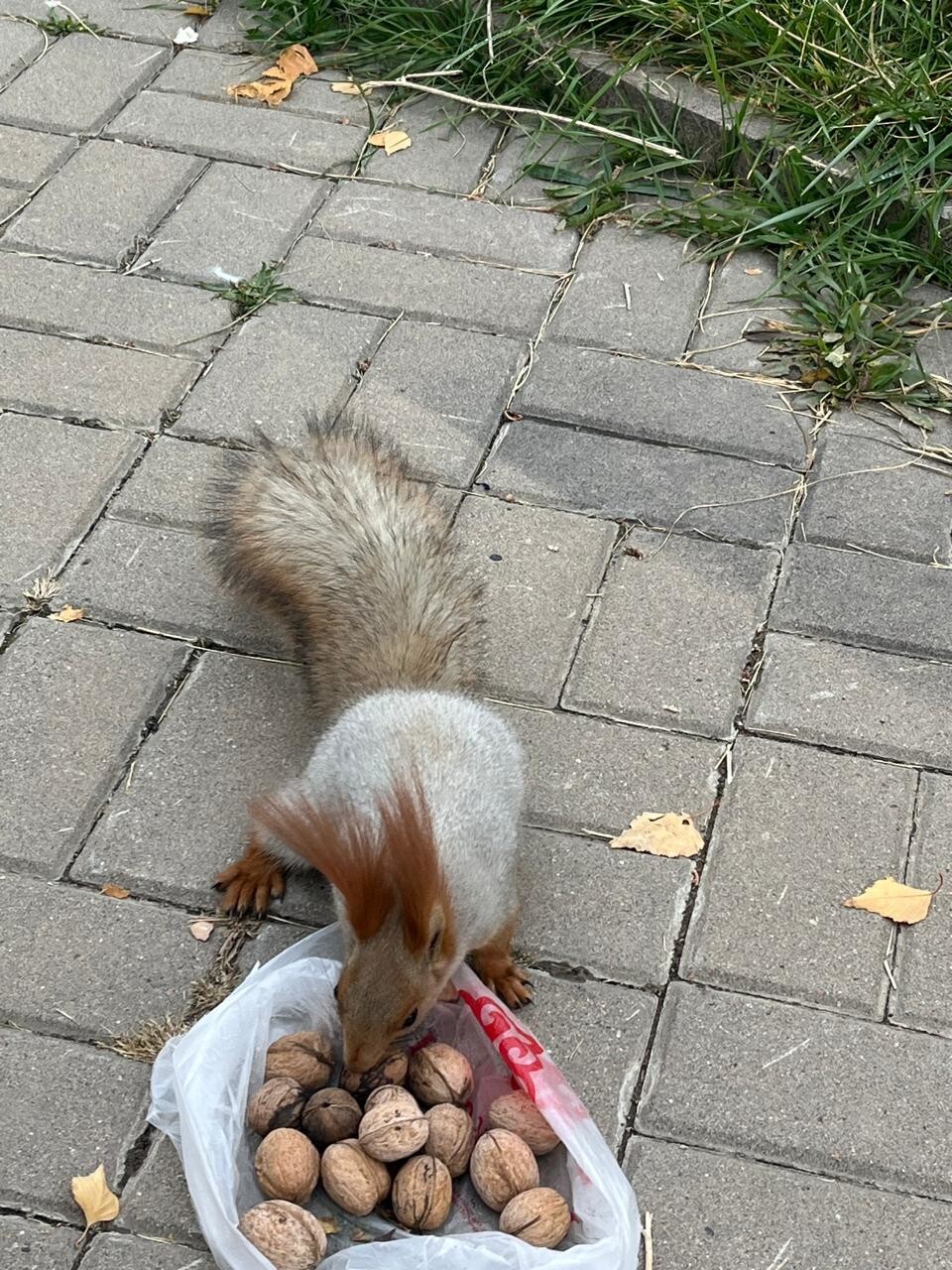 Всевышний велел делиться. Всевышний велел делиться.