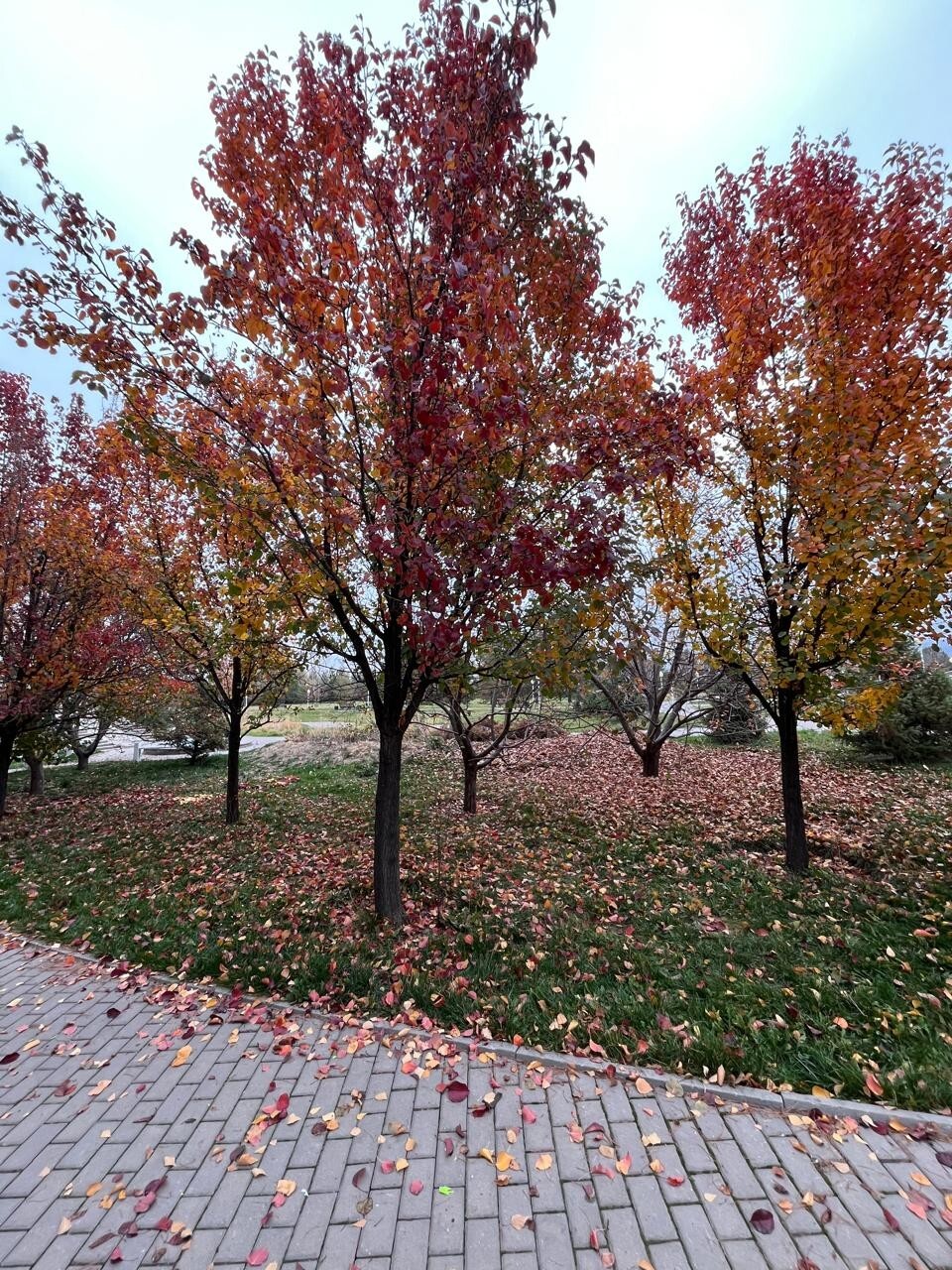 поверьте, вживую ещё ярче! поверьте, вживую ещё ярче!