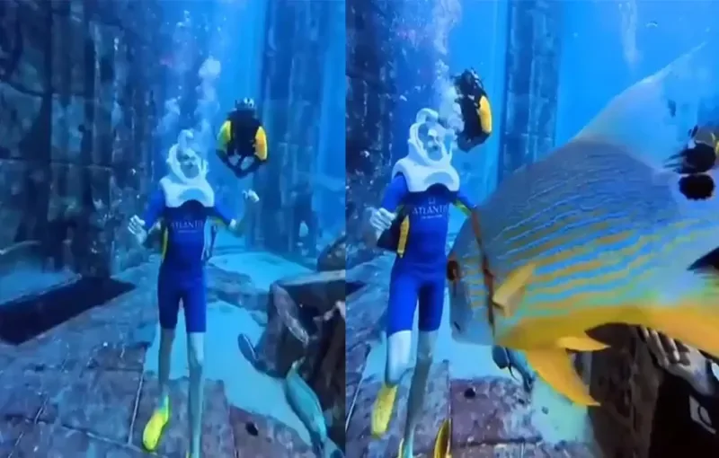 Необычный аттракцион в Дубае