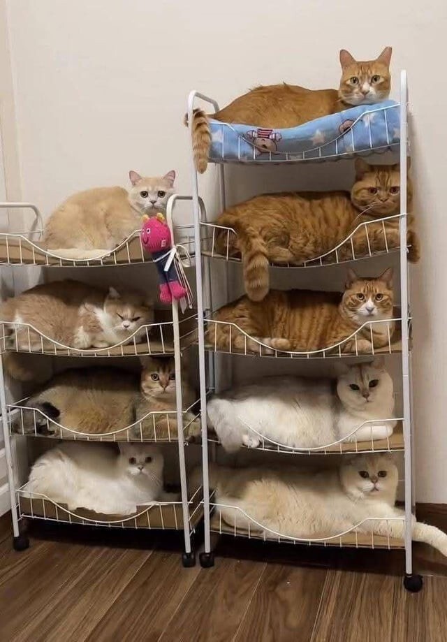 8. Все уместились 