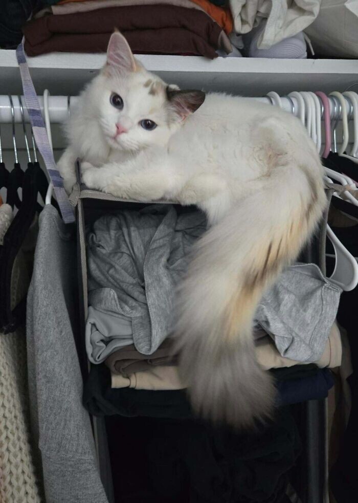 28. Что сегодня наденешь? 