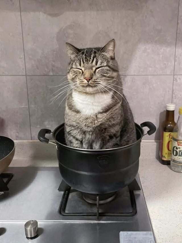 11. Кастрюля пригодилась 