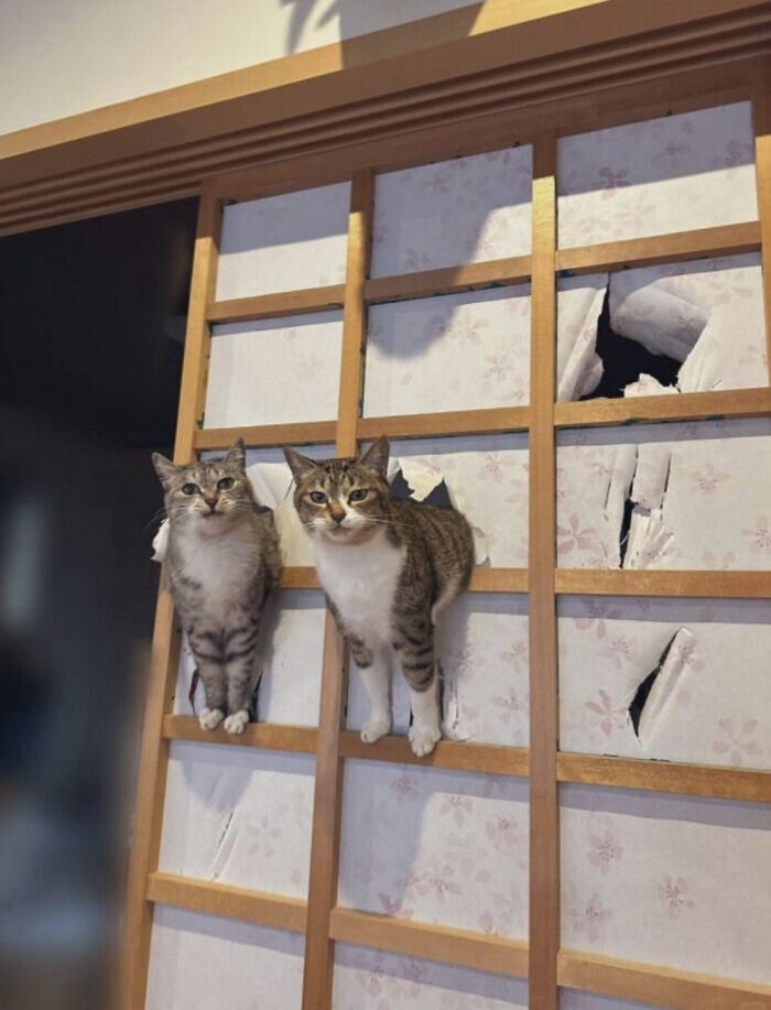 27. Безобразники 