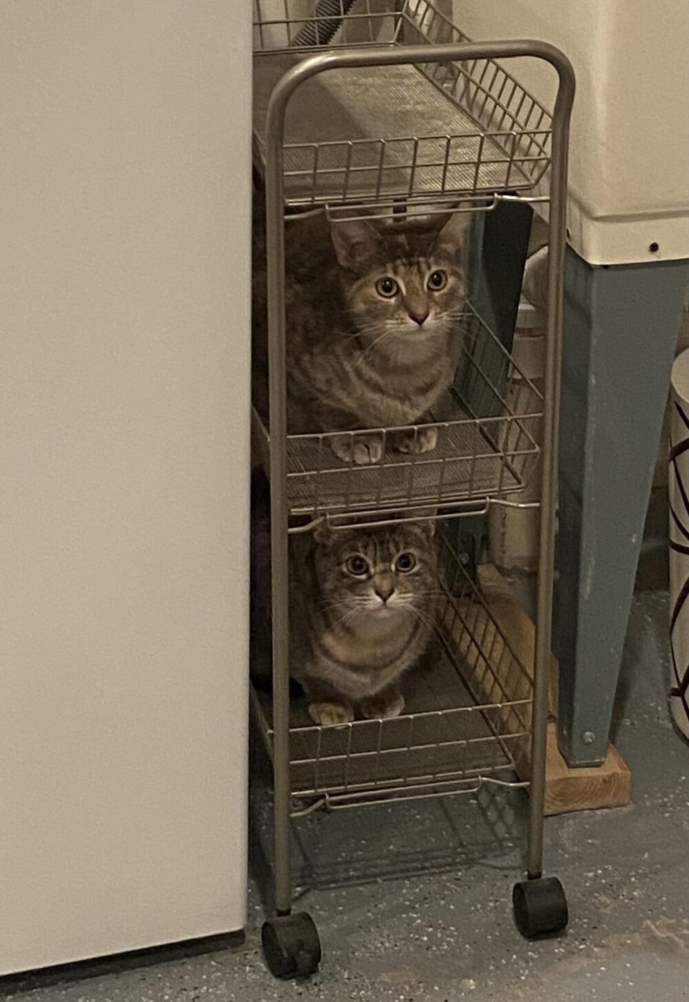 5. Пора заводить третьего 