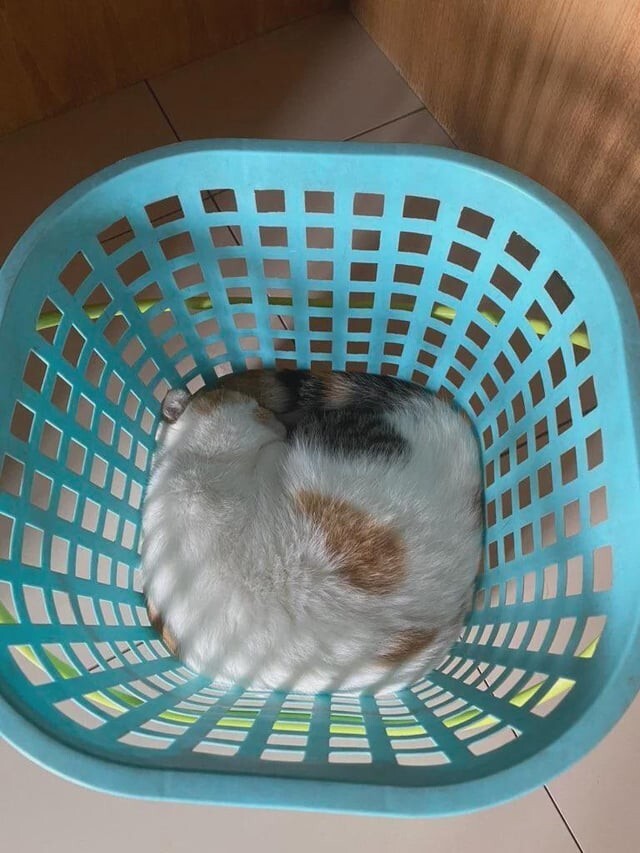 7. Идеально заполнил пространство 