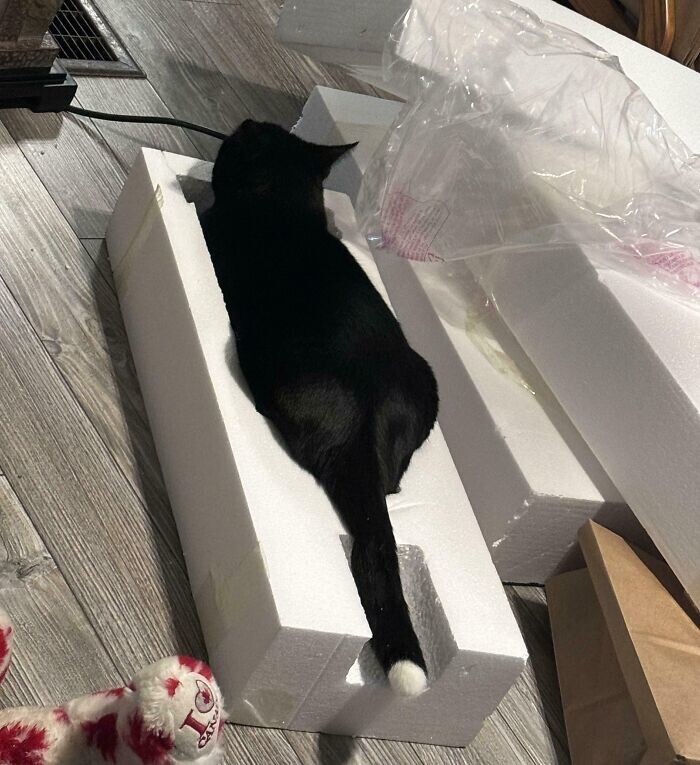 30. Упаковка для лампы?