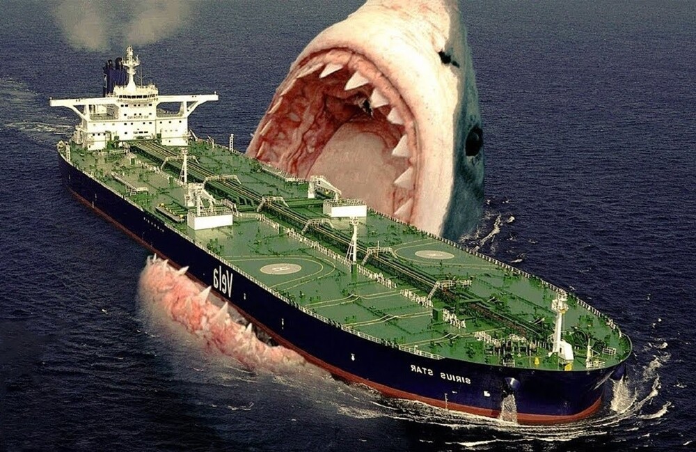 Несколько малоизвестных фактов о мегалодонах Несколько малоизвестных фактов о мегалодонах