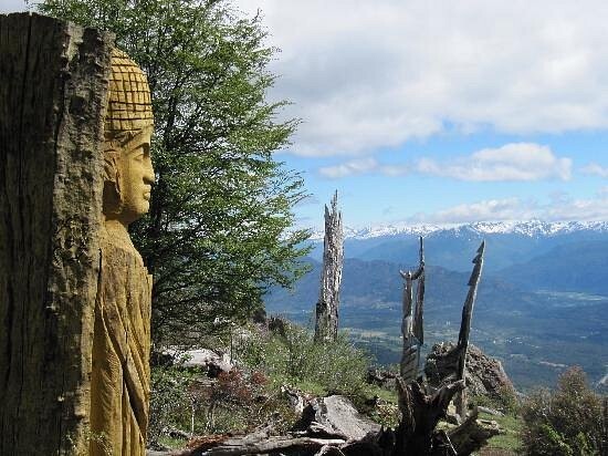 Лес скульптур, вдохнувших новую жизнь в мёртвые деревья Лес скульптур, вдохнувших новую жизнь в мёртвые деревья