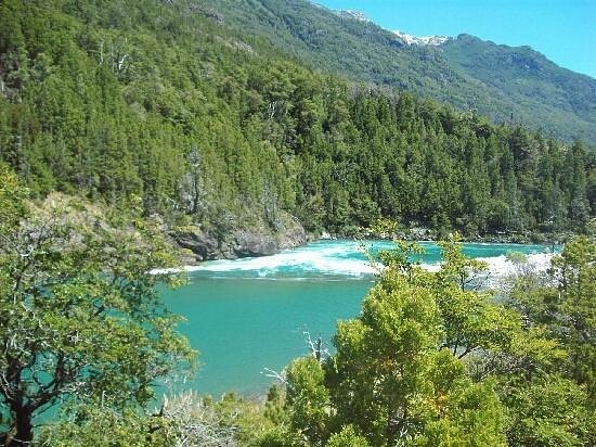 Лес скульптур, вдохнувших новую жизнь в мёртвые деревья Лес скульптур, вдохнувших новую жизнь в мёртвые деревья