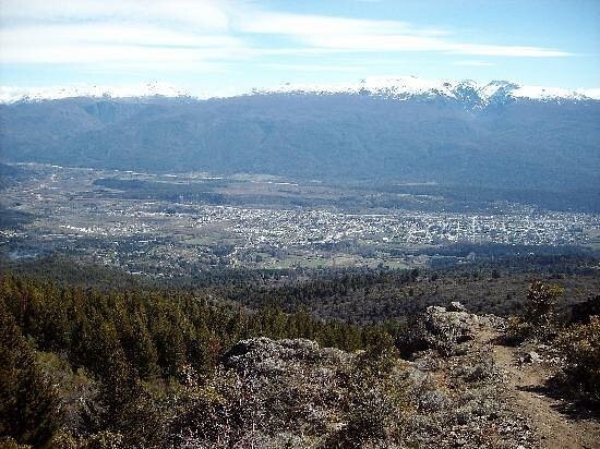 Лес скульптур, вдохнувших новую жизнь в мёртвые деревья Лес скульптур, вдохнувших новую жизнь в мёртвые деревья