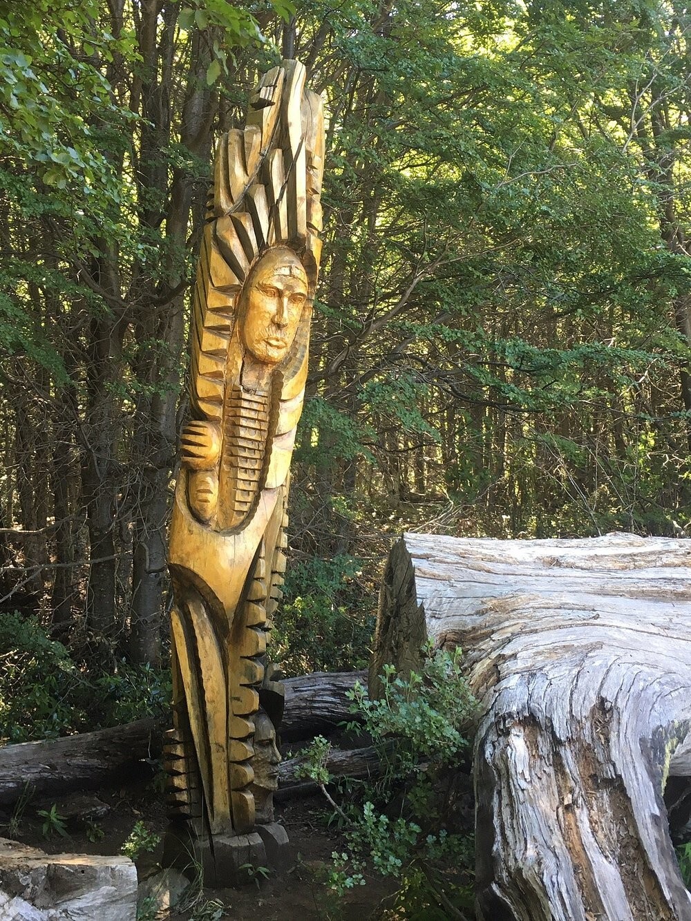 Лес скульптур, вдохнувших новую жизнь в мёртвые деревья Лес скульптур, вдохнувших новую жизнь в мёртвые деревья