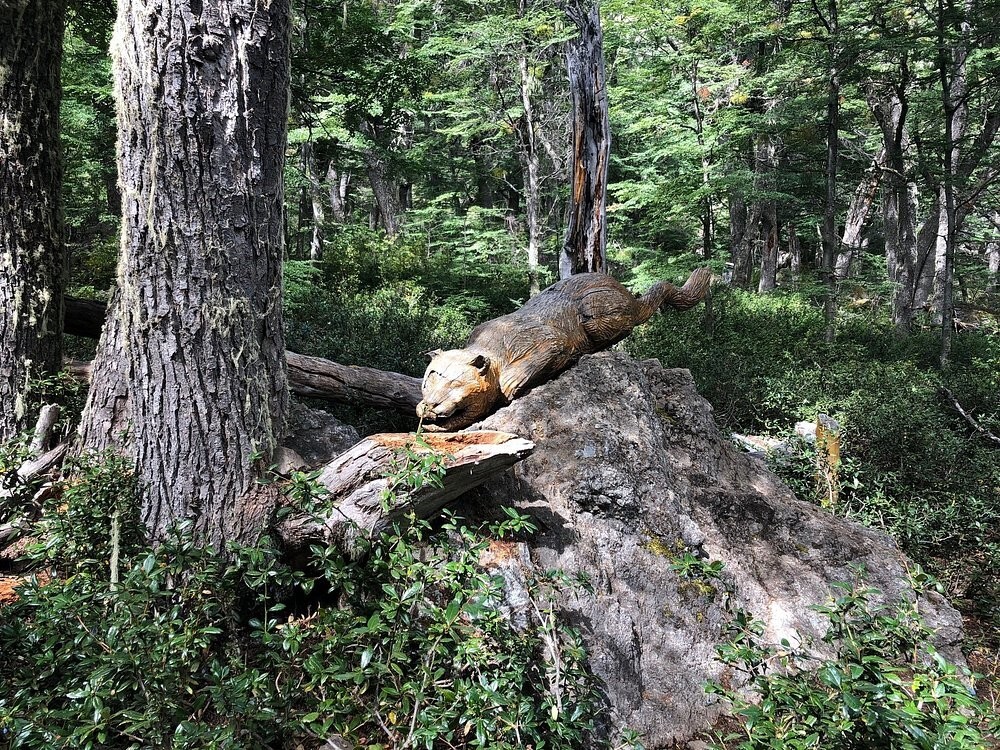 Лес скульптур, вдохнувших новую жизнь в мёртвые деревья Лес скульптур, вдохнувших новую жизнь в мёртвые деревья