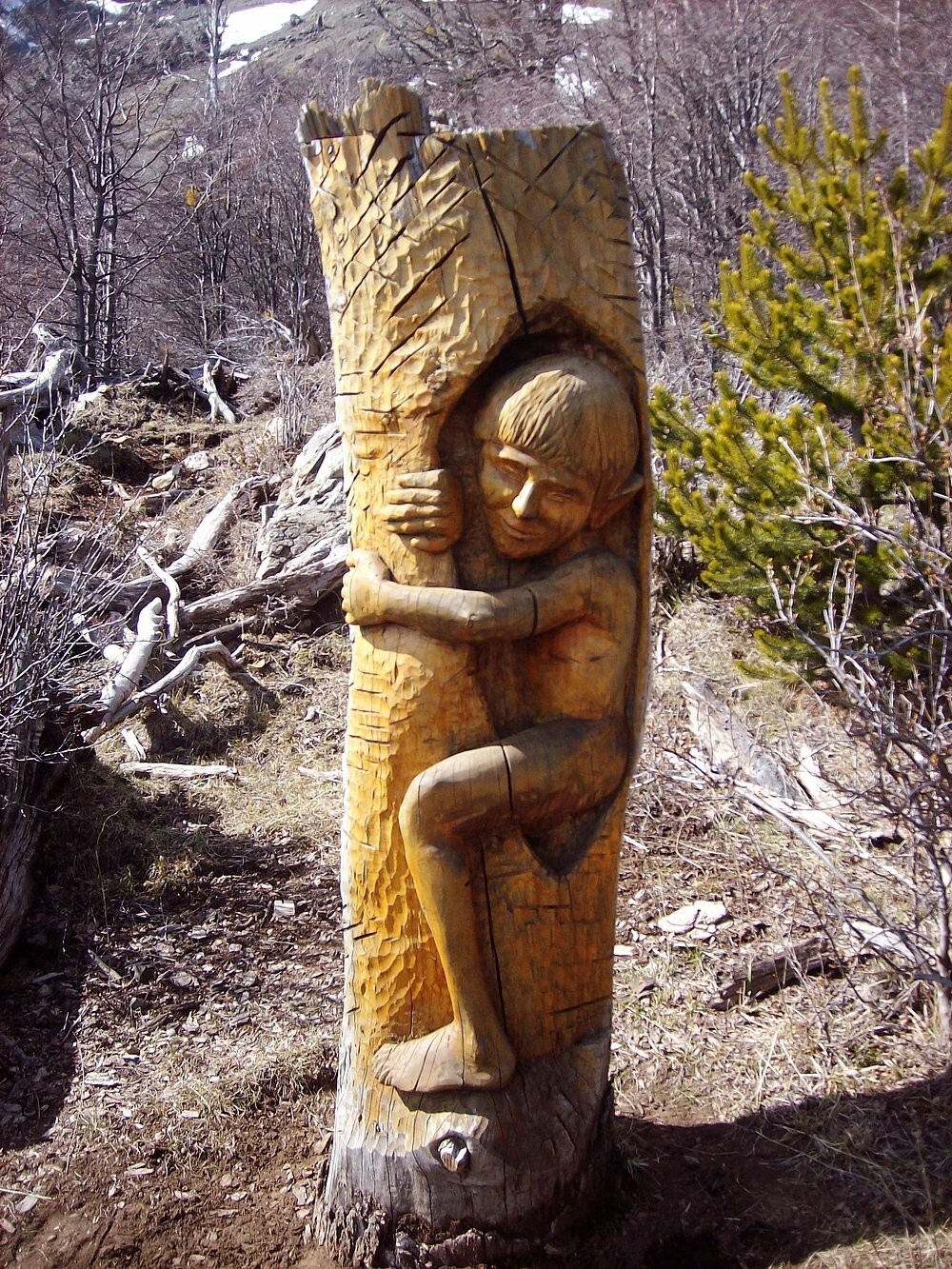 Лес скульптур, вдохнувших новую жизнь в мёртвые деревья Лес скульптур, вдохнувших новую жизнь в мёртвые деревья