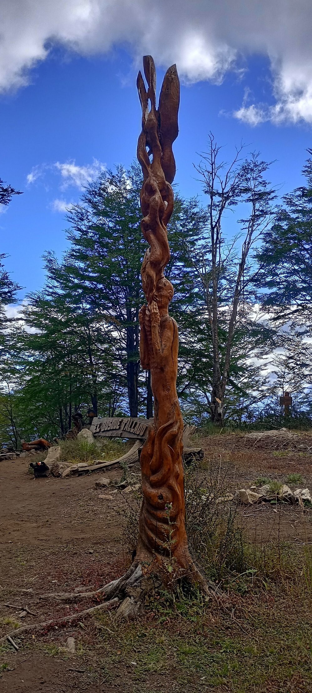 Лес скульптур, вдохнувших новую жизнь в мёртвые деревья Лес скульптур, вдохнувших новую жизнь в мёртвые деревья