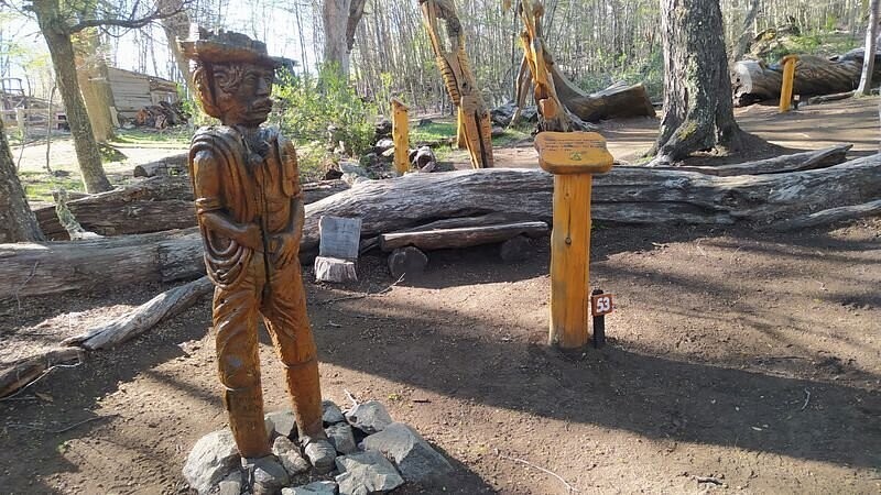 Лес скульптур, вдохнувших новую жизнь в мёртвые деревья Лес скульптур, вдохнувших новую жизнь в мёртвые деревья