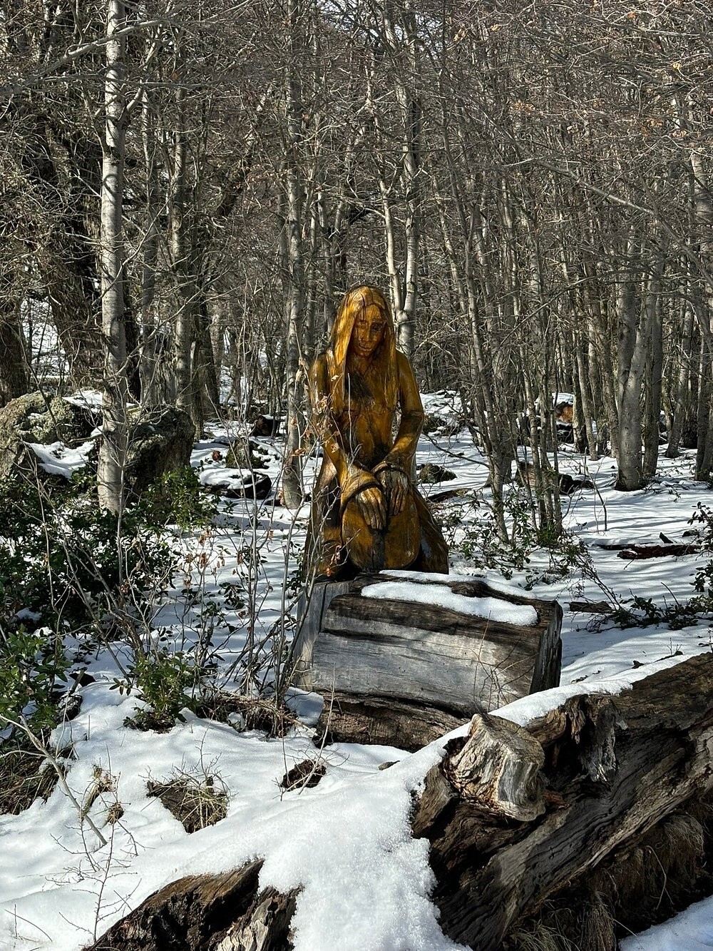 Лес скульптур, вдохнувших новую жизнь в мёртвые деревья Лес скульптур, вдохнувших новую жизнь в мёртвые деревья