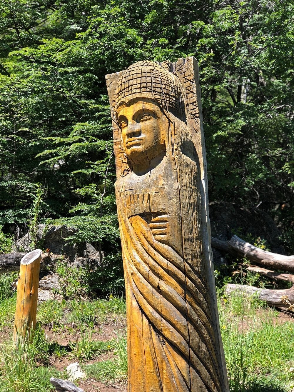 Лес скульптур, вдохнувших новую жизнь в мёртвые деревья Лес скульптур, вдохнувших новую жизнь в мёртвые деревья