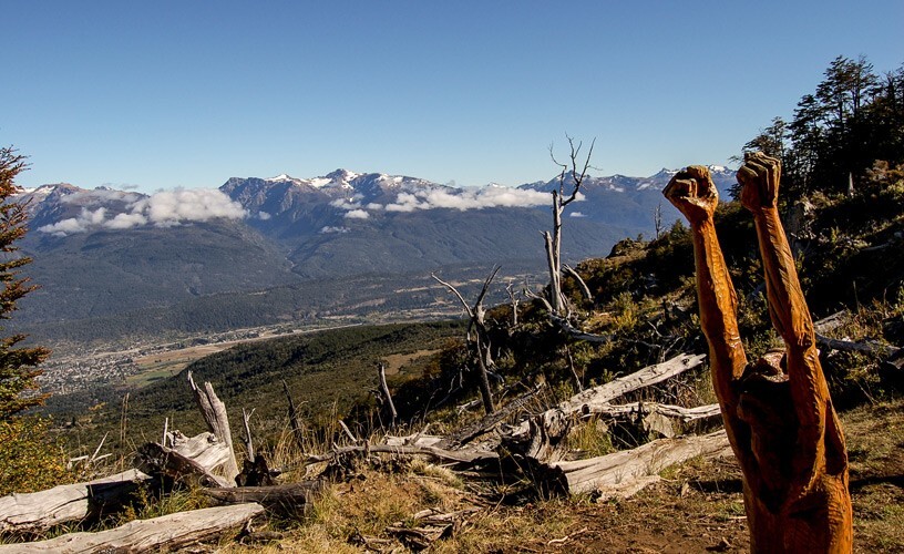 Лес скульптур, вдохнувших новую жизнь в мёртвые деревья Лес скульптур, вдохнувших новую жизнь в мёртвые деревья