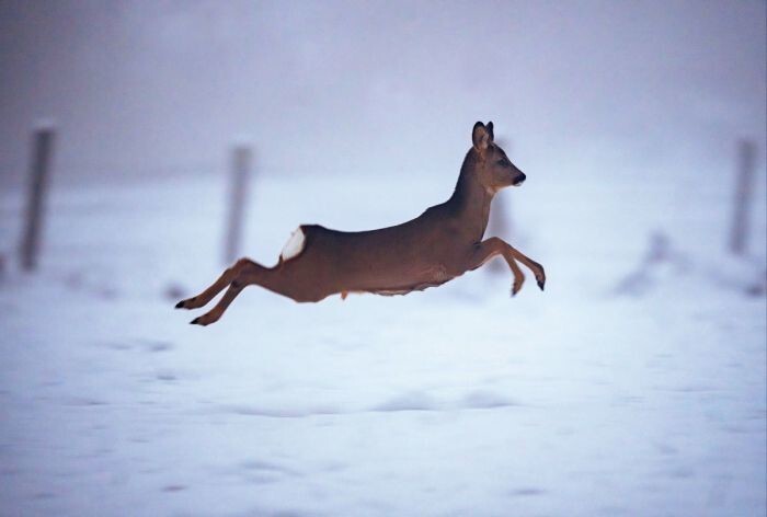 Картинки с подписями анекдотами Картинки с подписями анекдотами