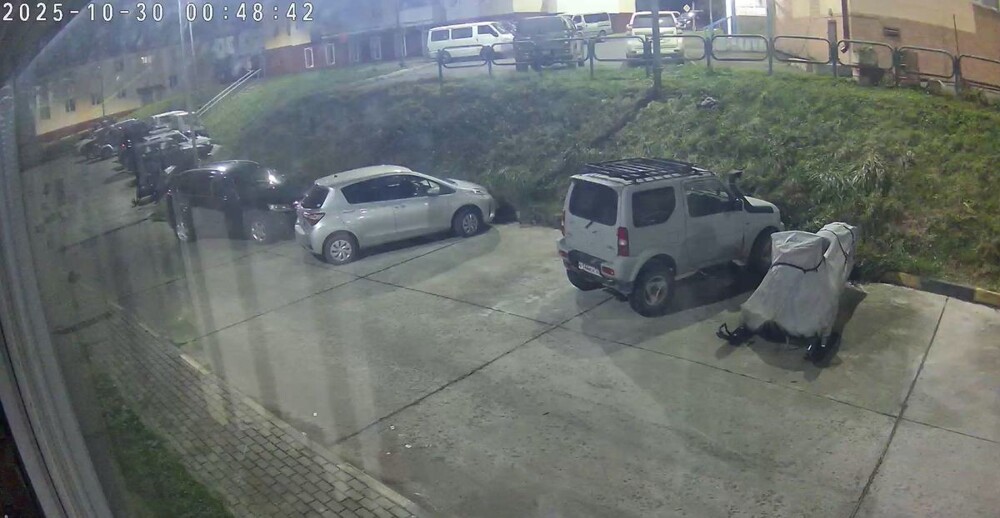 Косолапый полуночник Косолапый полуночник