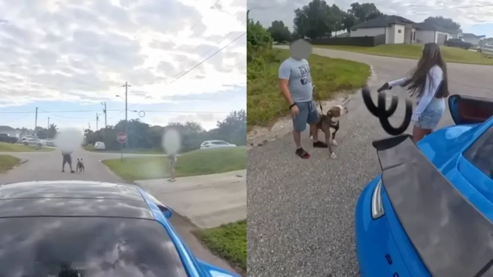 Ссора на дороге во Флориде закончилась угрозами с оружием Ссора на дороге во Флориде закончилась угрозами с оружием