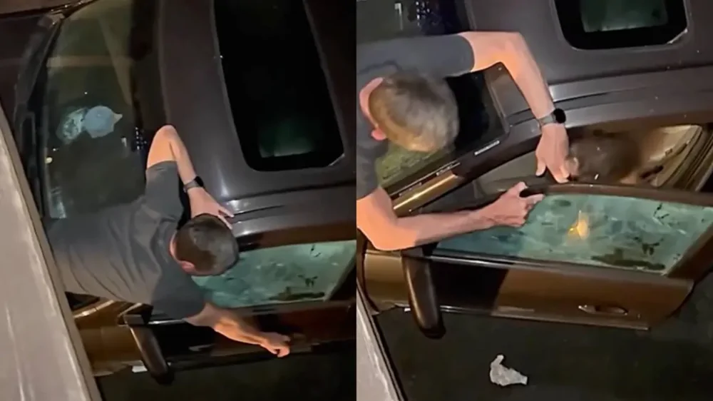 Медведь залез в машину за едой и укусил мужчину Медведь залез в машину за едой и укусил мужчину