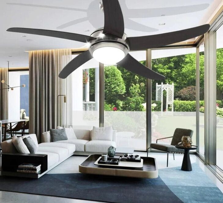 «Я искал потолочный вентилятор и наткнулся на эту гигантскую красоту» «Я искал потолочный вентилятор и наткнулся на эту гигантскую красоту»