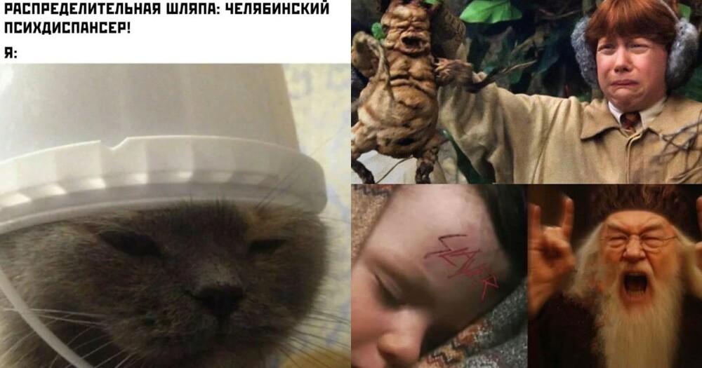 Волан-де-Морт, вы женщина?: новости и мемы про Гарри Поттера Волан-де-Морт, вы женщина?: новости и мемы про Гарри Поттера