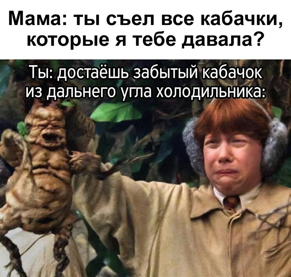 10. Ещё неизвестно что хуже, кабачок или мандрагора 10. Ещё неизвестно что хуже, кабачок или мандрагора