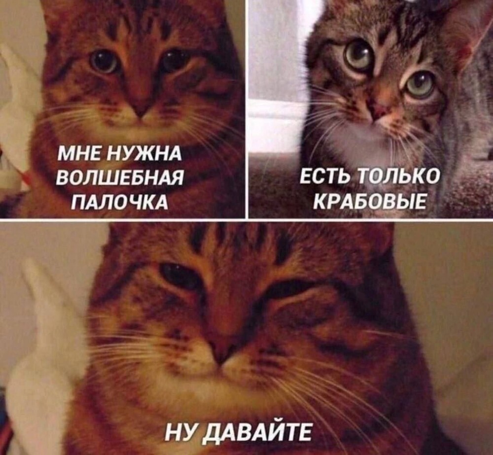 8. Представьте, если бы у неё была крабовая палочка... 8. Представьте, если бы у неё была крабовая палочка...