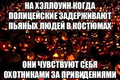 Подборка про осень и тыквы