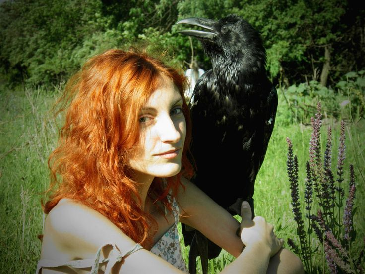 Причины, по которым не стоит заводить дома ворона Причины, по которым не стоит заводить дома ворона