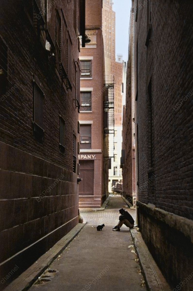 Подборка интересных и необычных фотографий из США