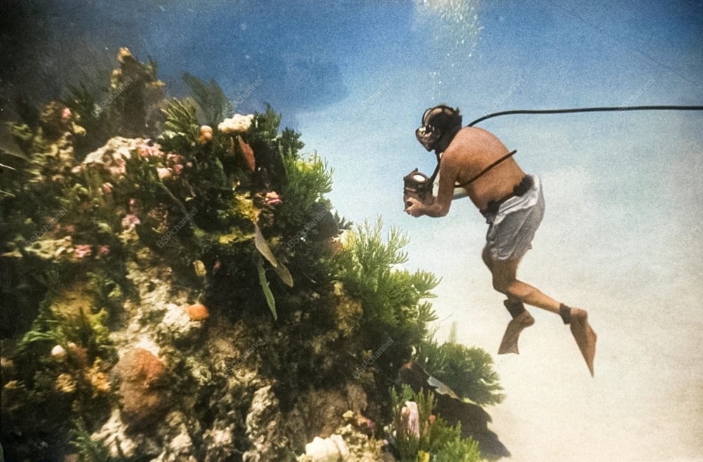 Подборка интересных и необычных фотографий из США