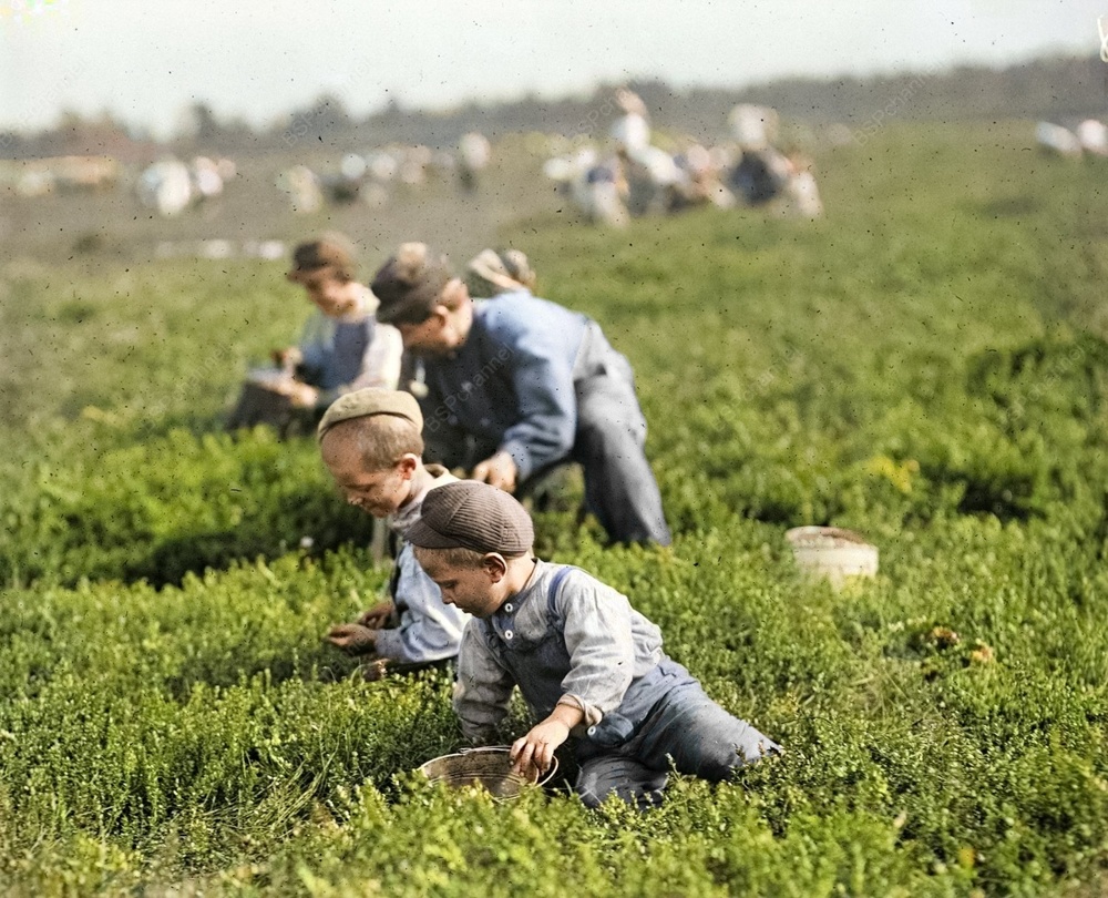 Подборка интересных и необычных фотографий из США