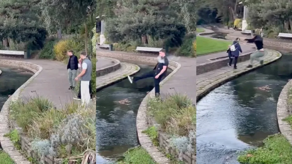 Когда переоценил свои способности Когда переоценил свои способности