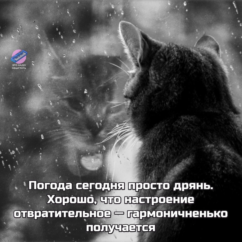 Подборка про осень